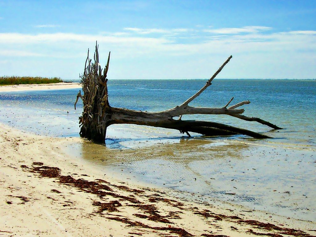 Lovers Key Beach, FL view 1