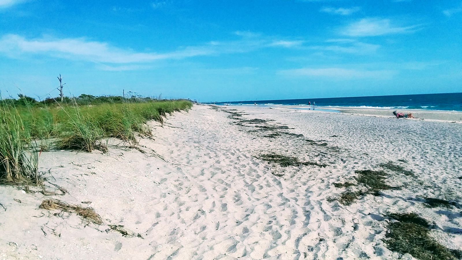 Englewood Beach, FL