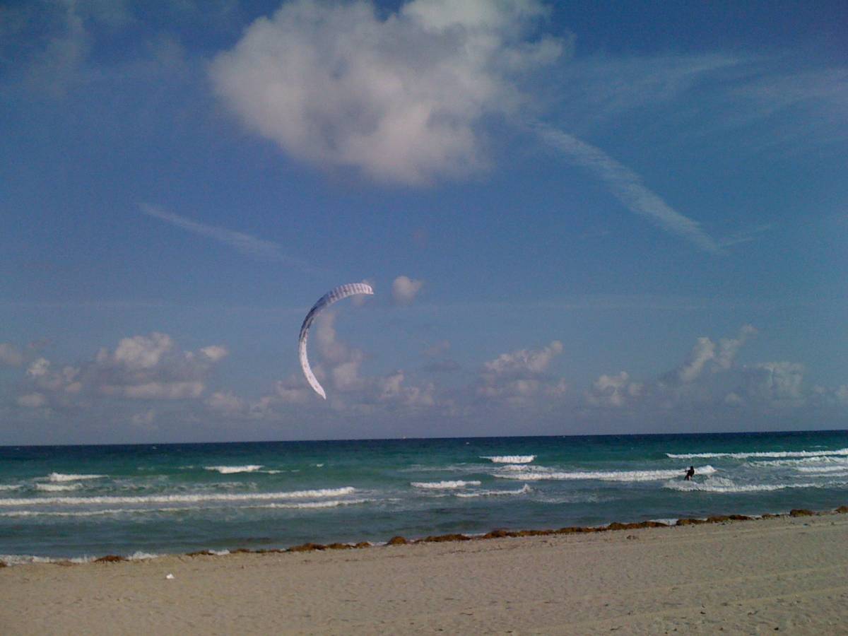 Hollywood Dog Beach, FL view 2
