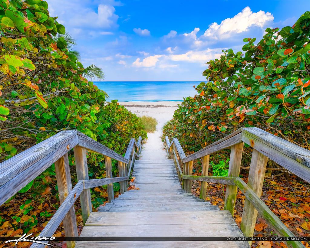 Hobe Sound Beach, FL view 1