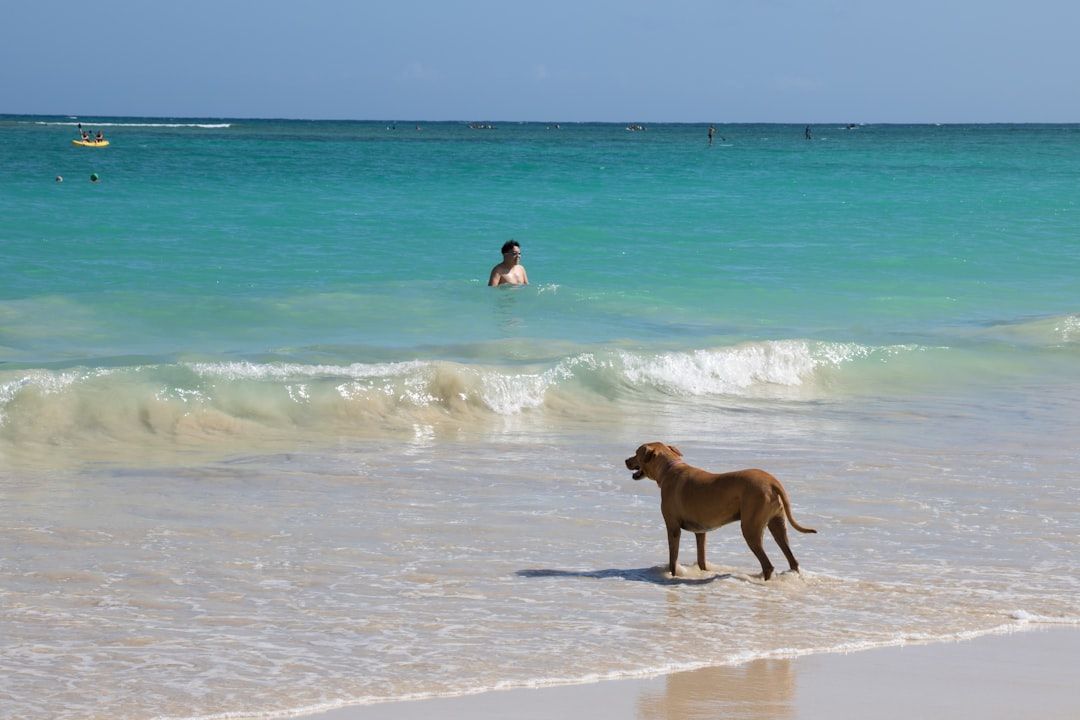 Jupiter Off-Leash Dog Beach, FL