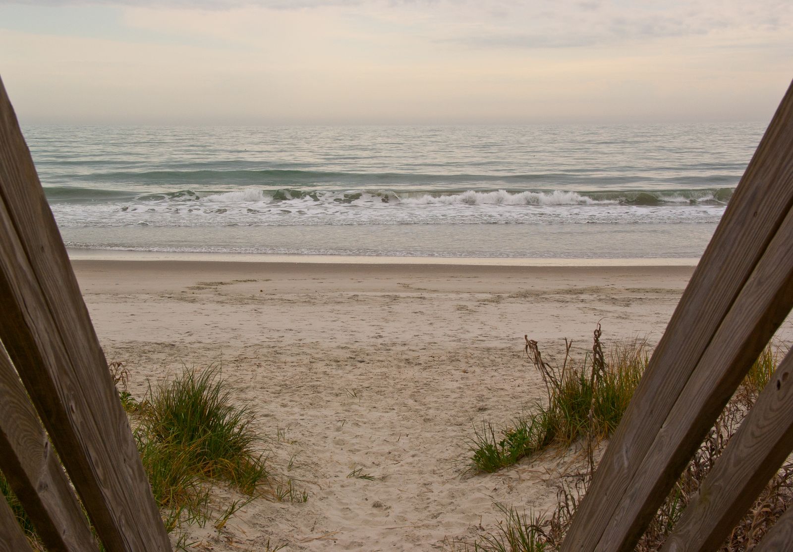 Davis Island Dog Beach, FL view 1