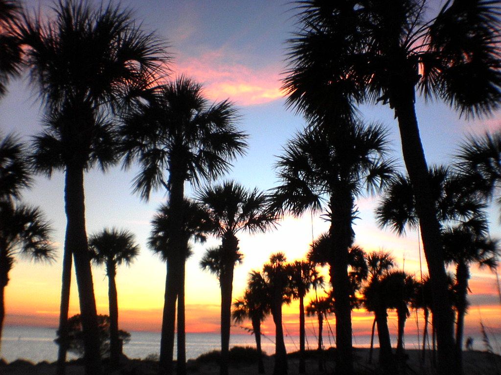Howard Park Beach, FL