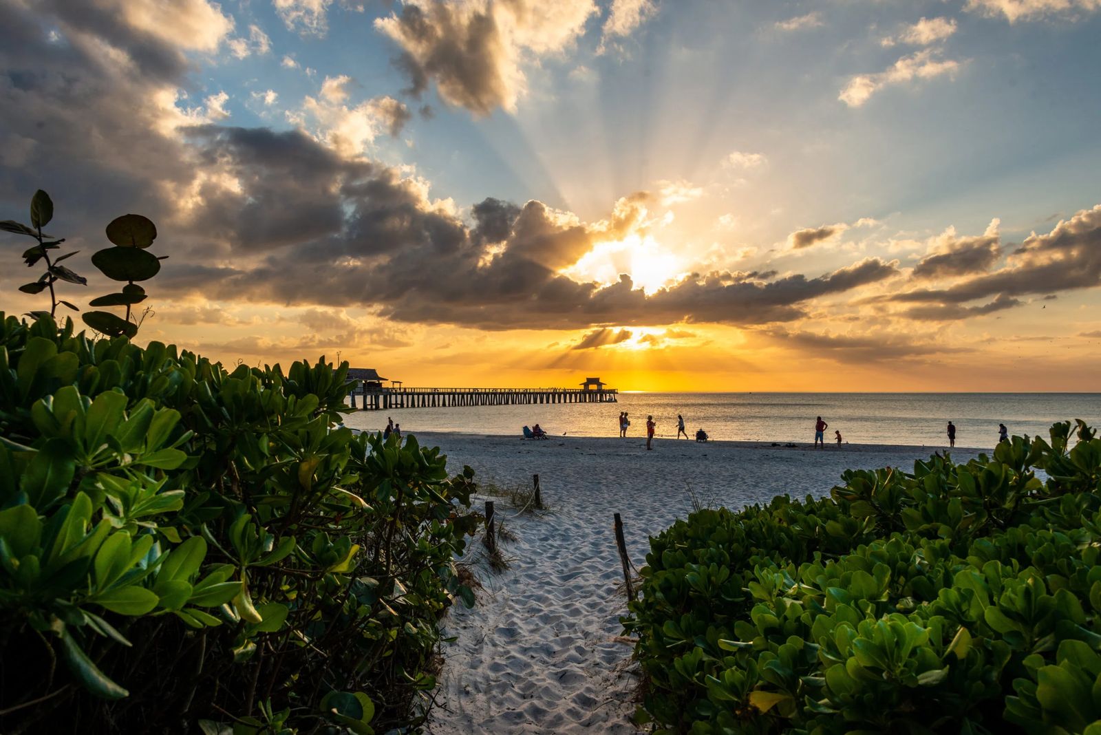 Bonita Beach Dog Park, FL view 2