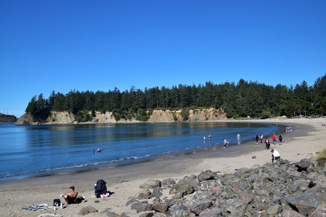 Double Bluff Beach and Off Leash Area, WA view 2