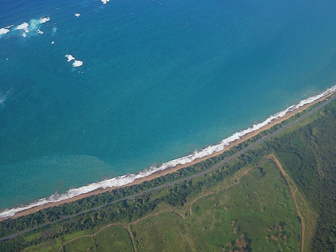 Double Bluff Beach and Off Leash Area, WA