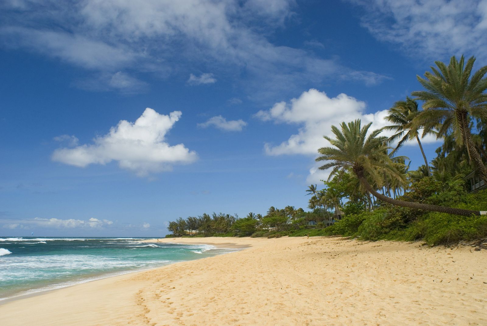Punaluʻu Beach, HI