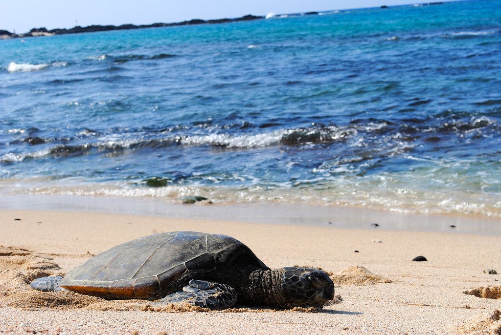 Island of Hawai'i, HI
