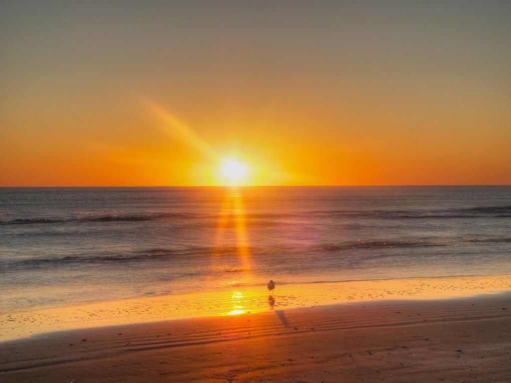 Sunny Beach, TX