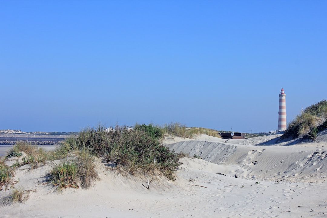 Dauphin Island East End Public Beach, AL view 1