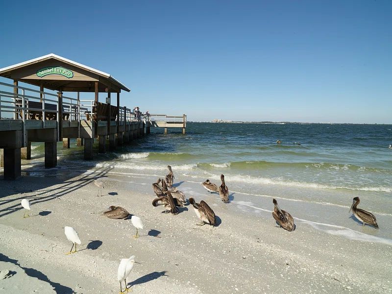Pensacola Dog Beach, AL