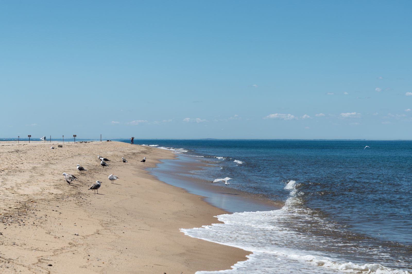 Race Point Beach, MA