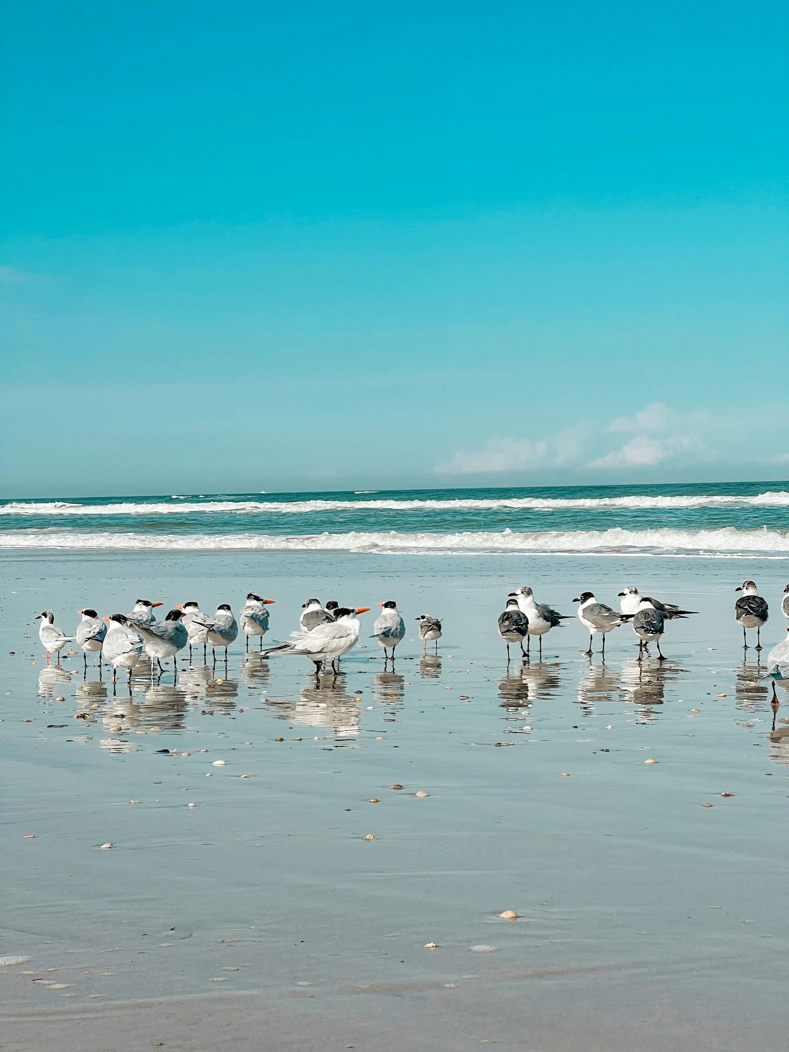 Smyrna Beach, FL view 2