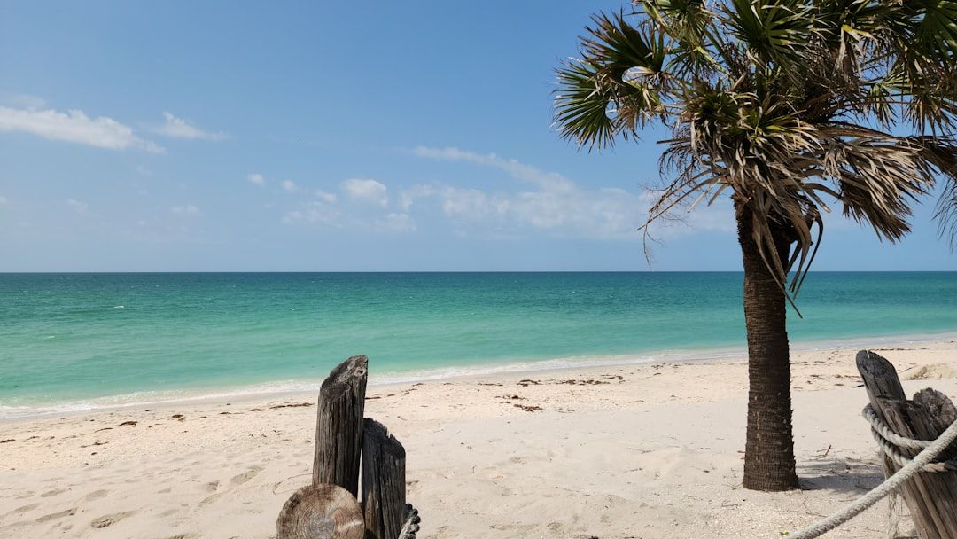 Ben T Davis Beach, FL view 1