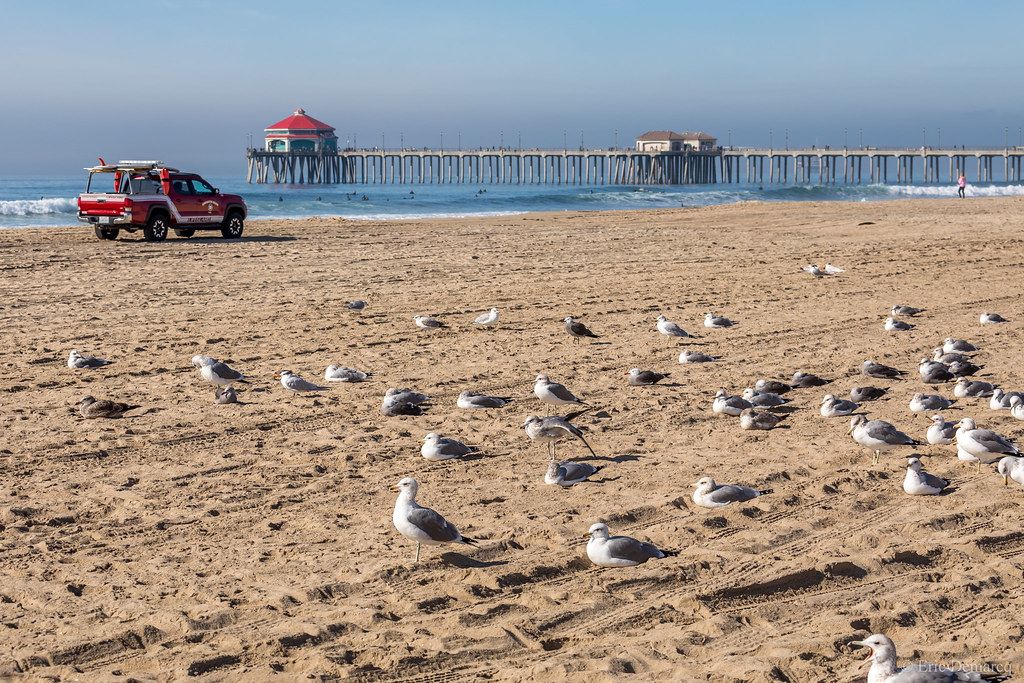Huntington Beach, California, CA view 2