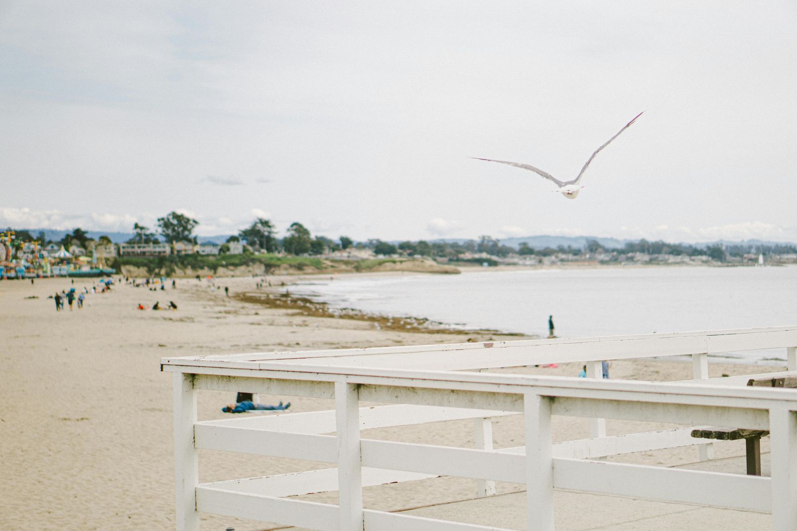 Tourmaline Beach, CA view 1