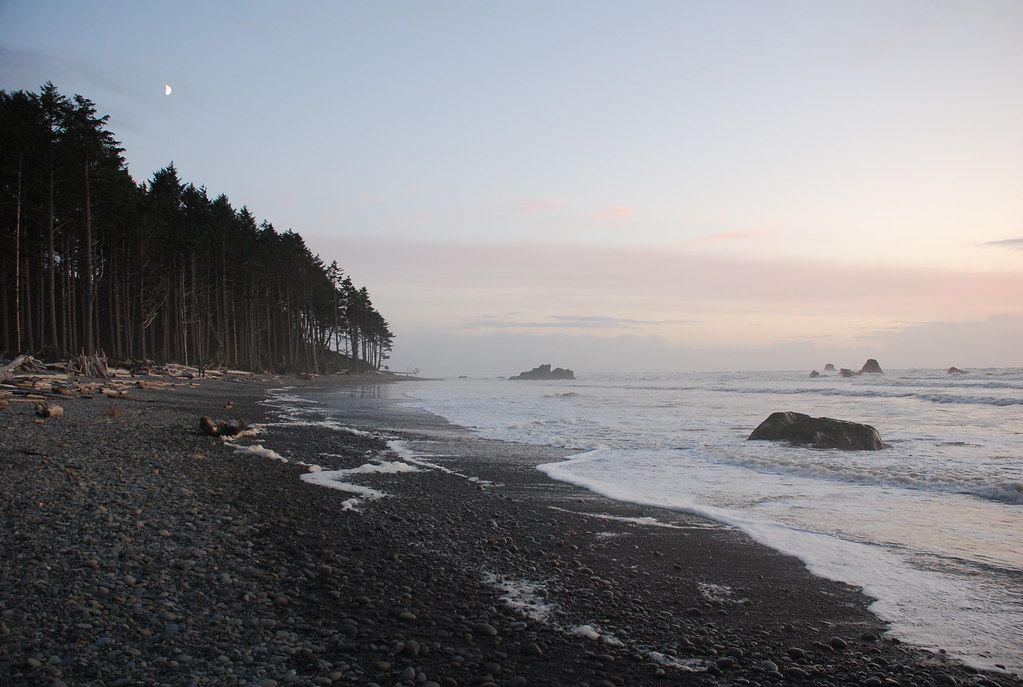 Pacific Beach, WA view 1