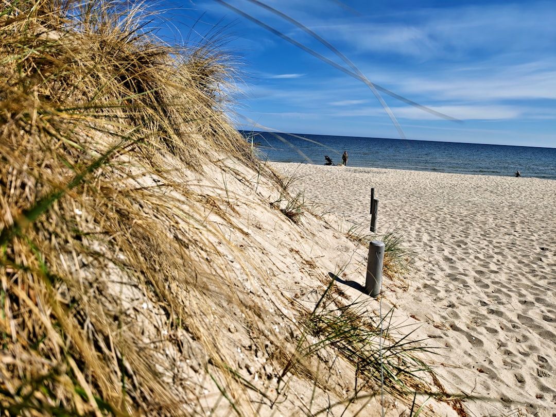 Head of the Meadow Beach, MA view 1