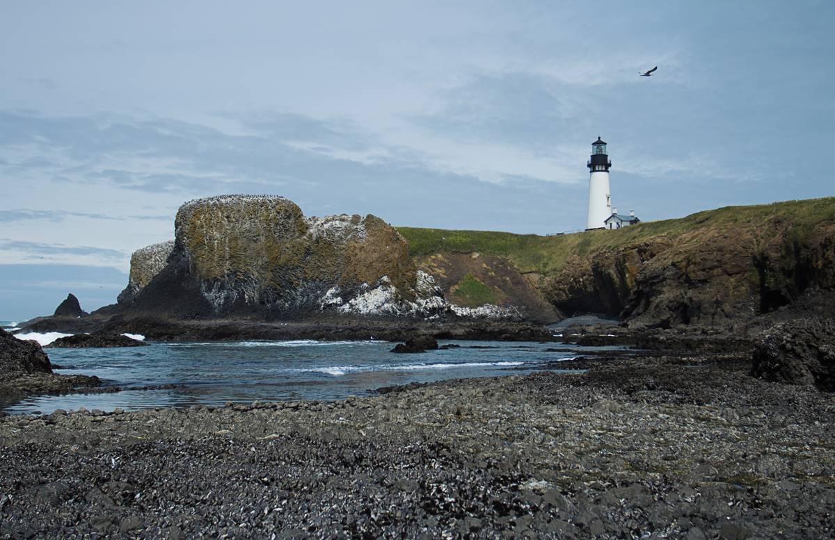 Cobble Beach, OR view 2