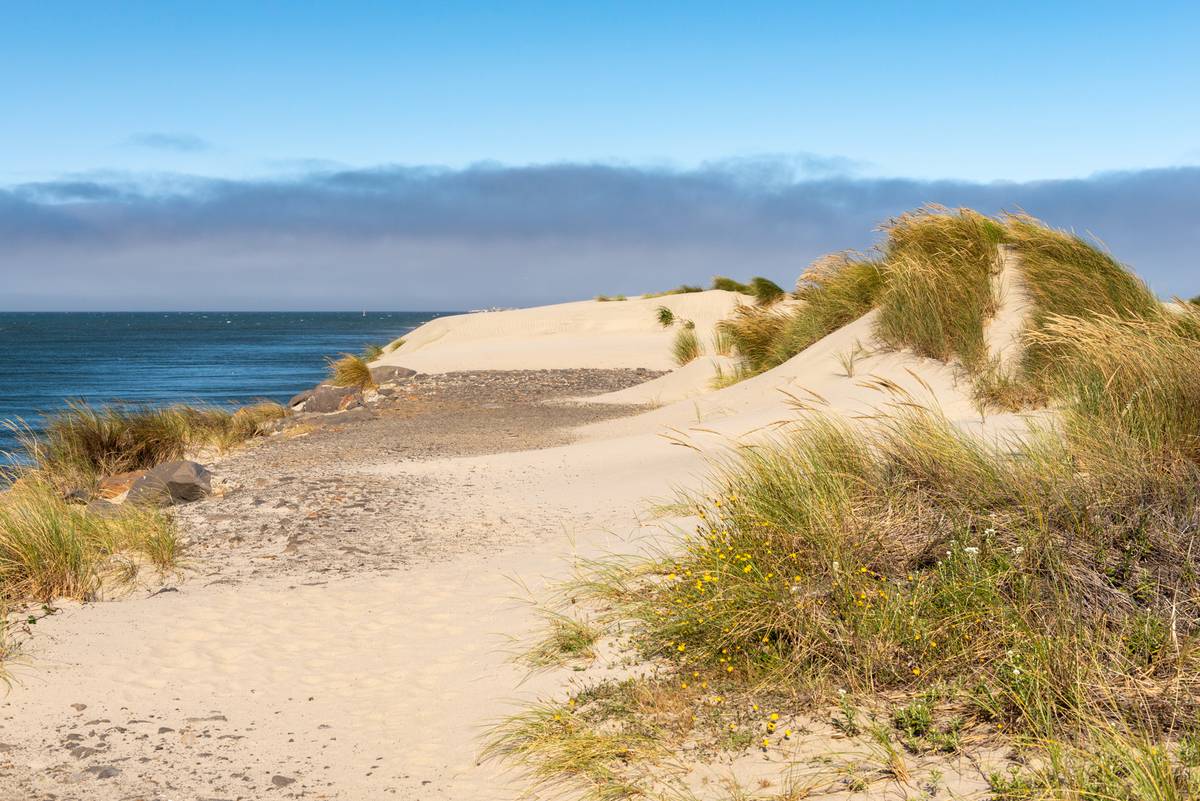 North Jetty Beach, OR view 1
