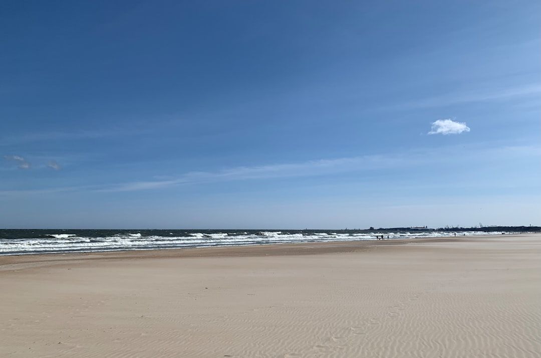 Higbee Beach, DE view 2