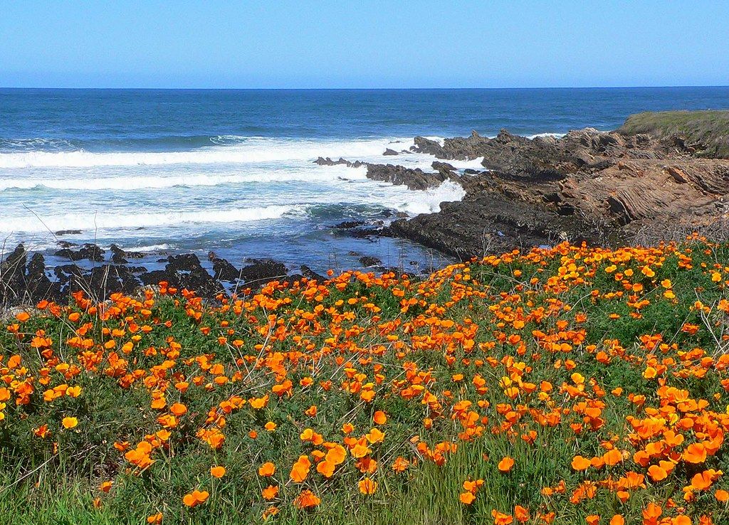 Bluff Trail Montana De Oro, CA view 1