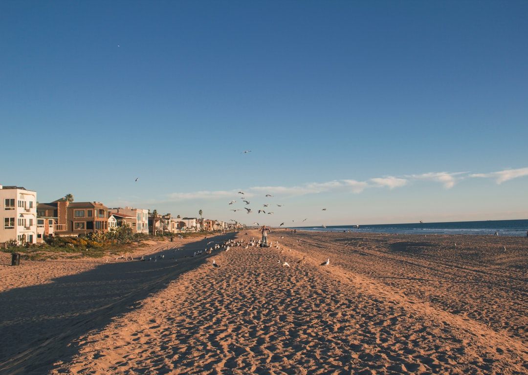 Ventnor City Beach, NJ view 2