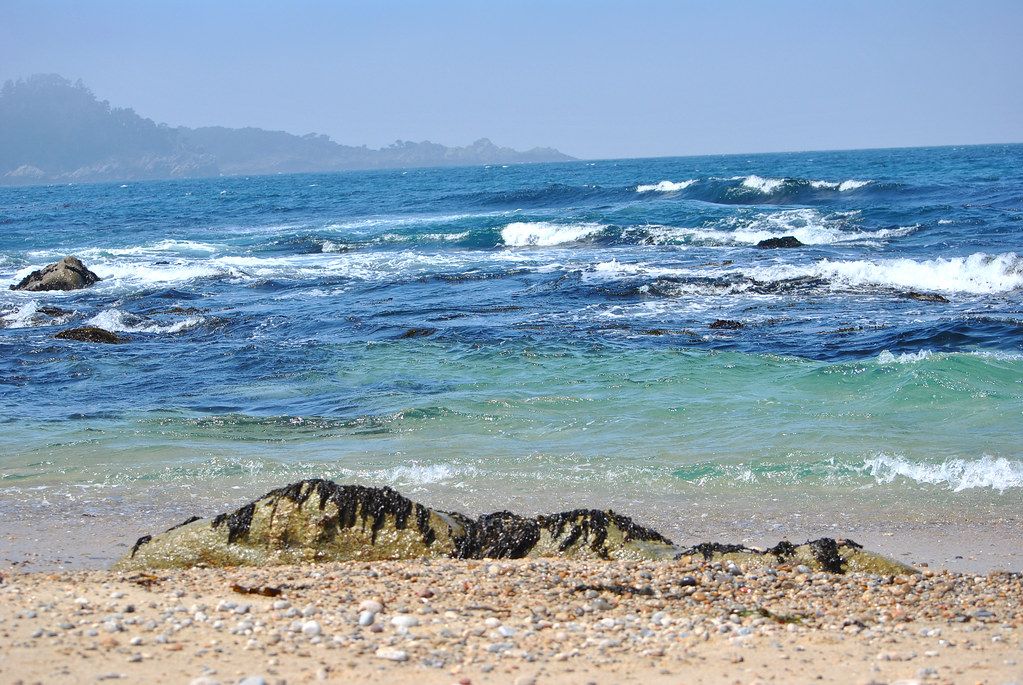 Carmel River State Beach, CA