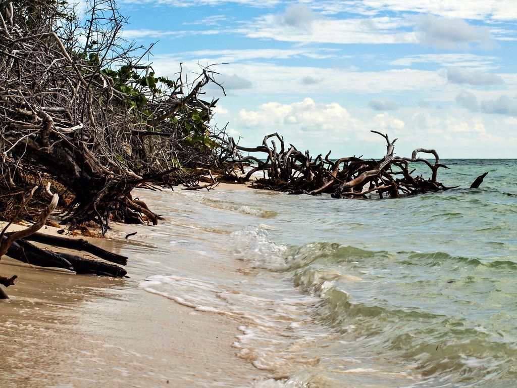 Boneyard Beach, FL view 1