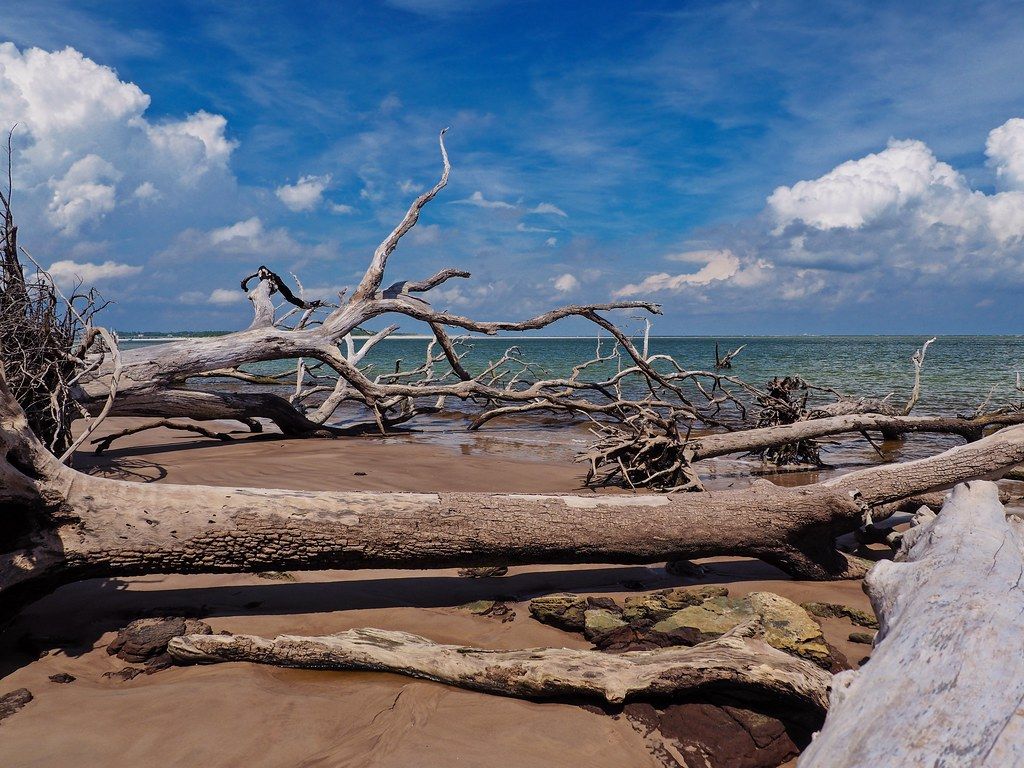 Boneyard Beach, FL