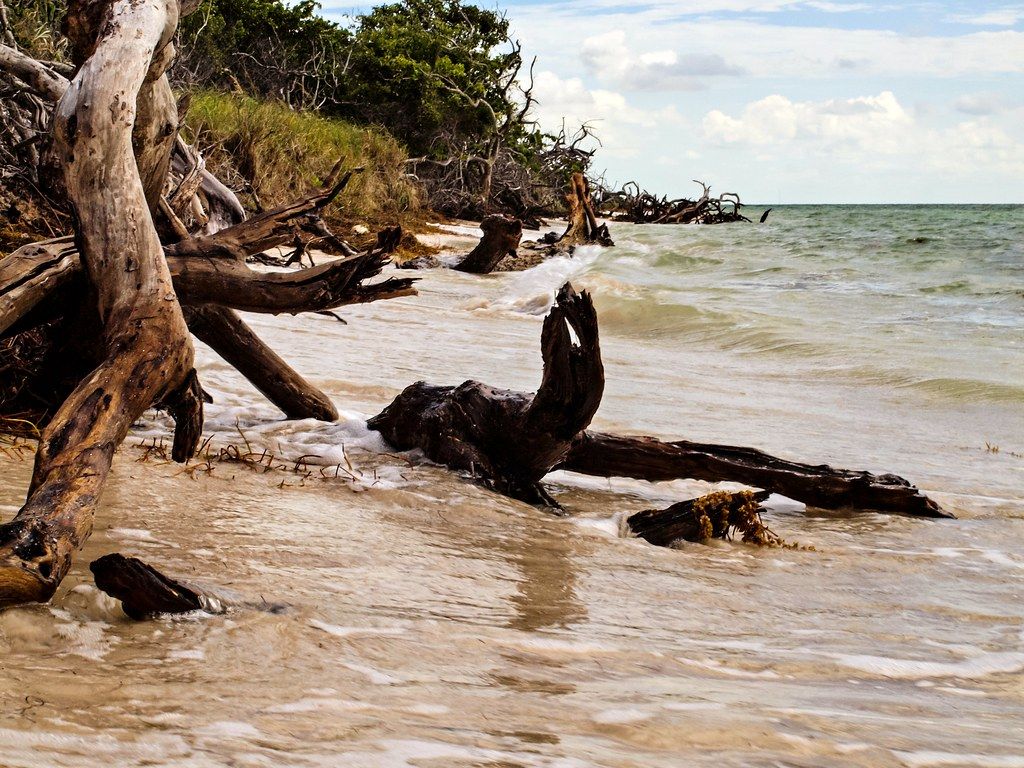Boneyard Beach, FL view 2