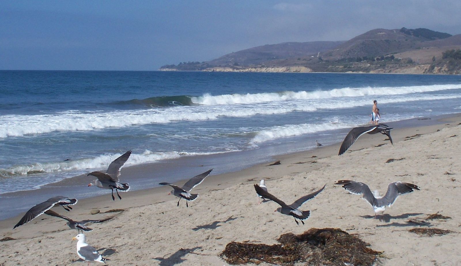 El Capitán State Beach, CA