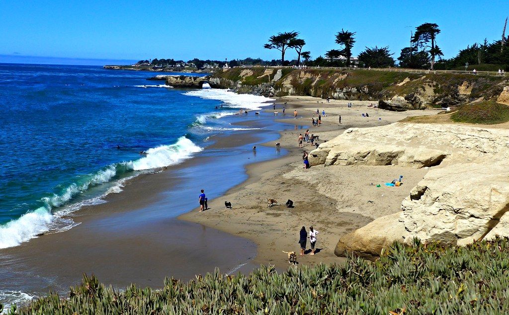 Bonny Doon Beach, CA view 1