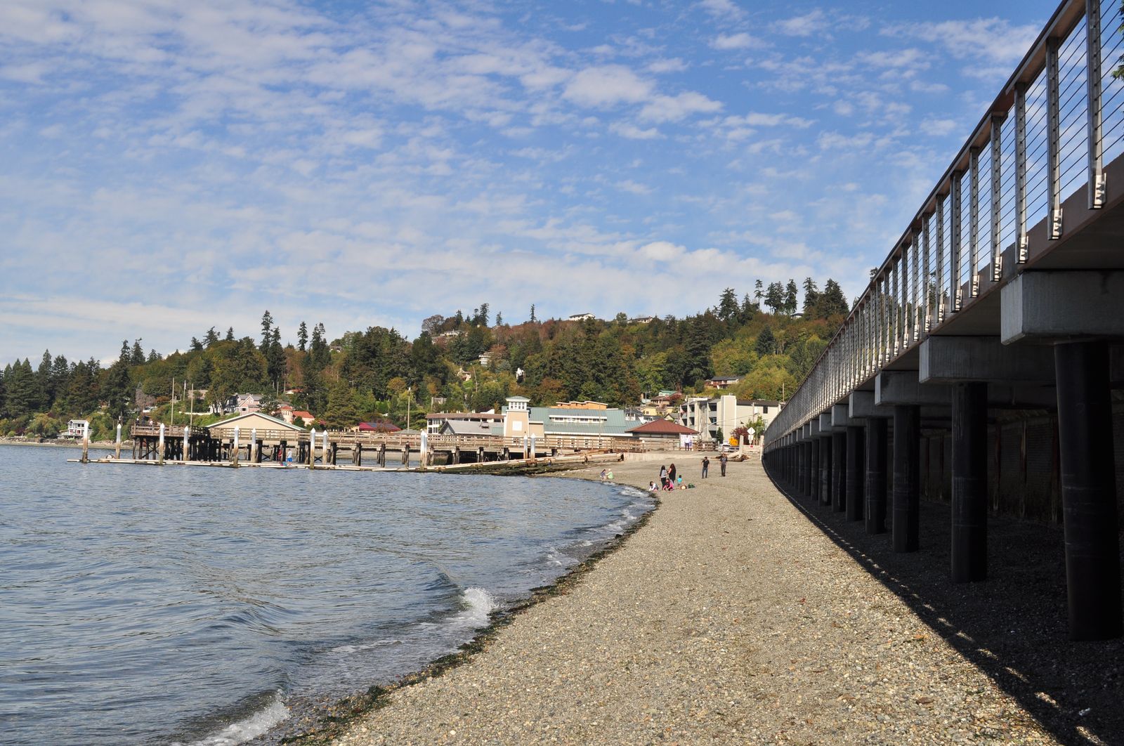 Des Moines Beach, WA view 1