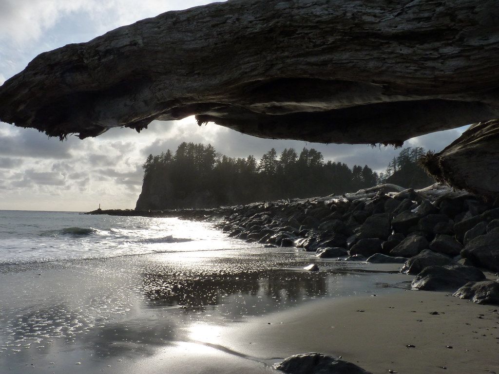 Locust Beach, WA view 2