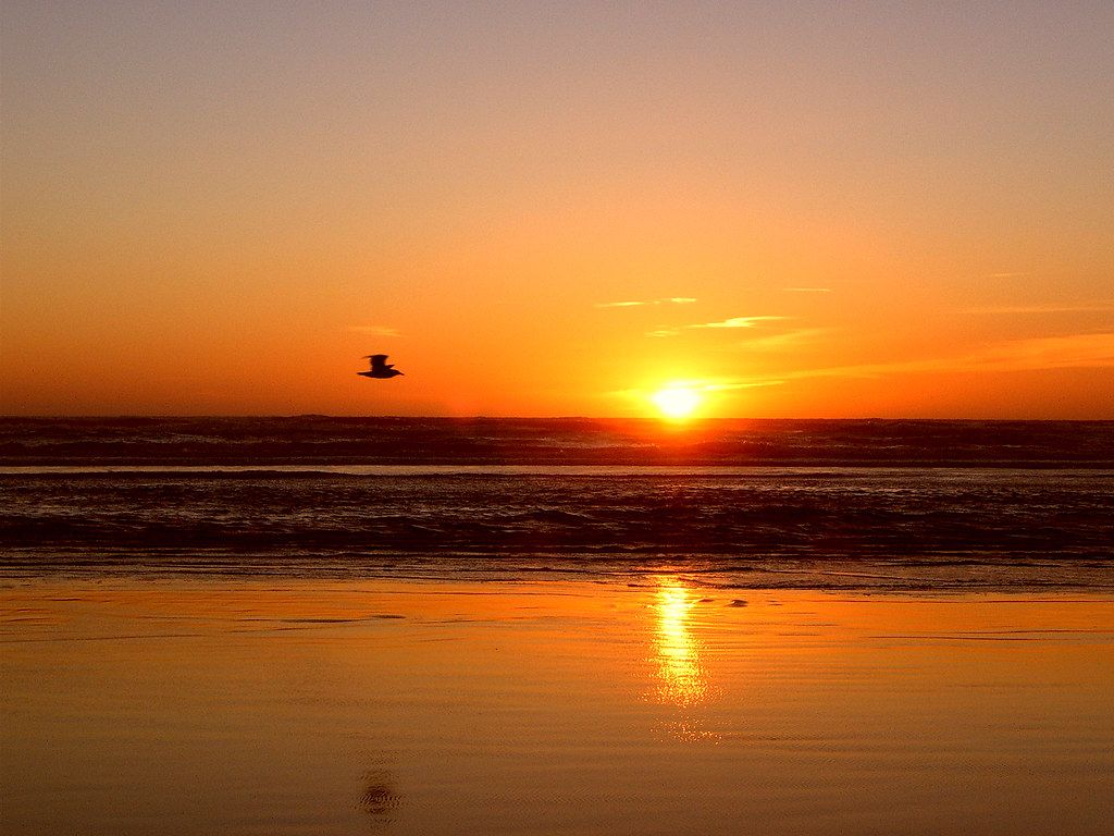 Long Beach, WA view 1