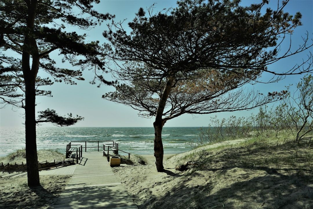 Duxbury Beach Park, MA view 2