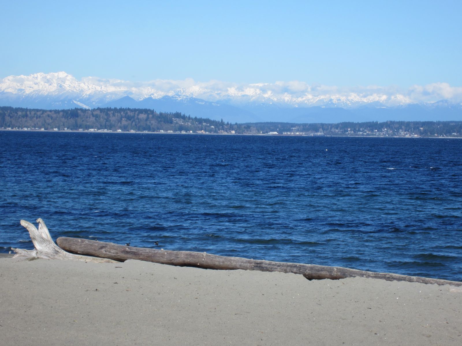 Alki Beach, WA view 1