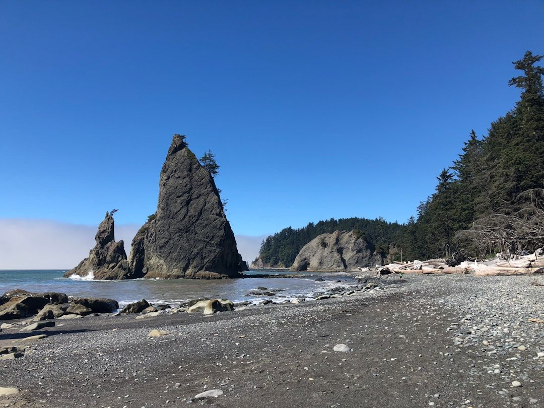 Hobbit Beach, OR view 1