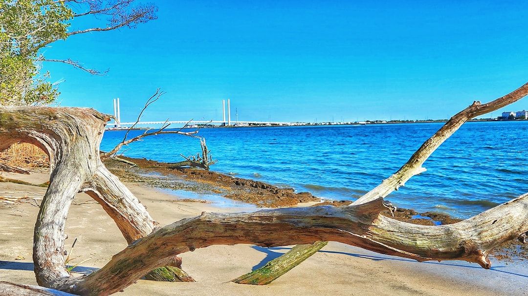 Dewey Beach, DE