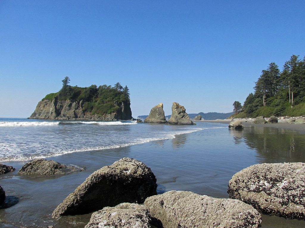 Ruby Beach, WA view 1