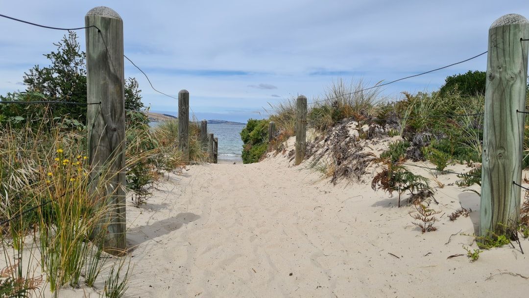 Betterton Beach, MD view 1