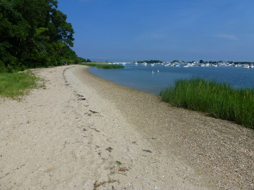 Greenbriar Beach and Swim Area, MD view 2