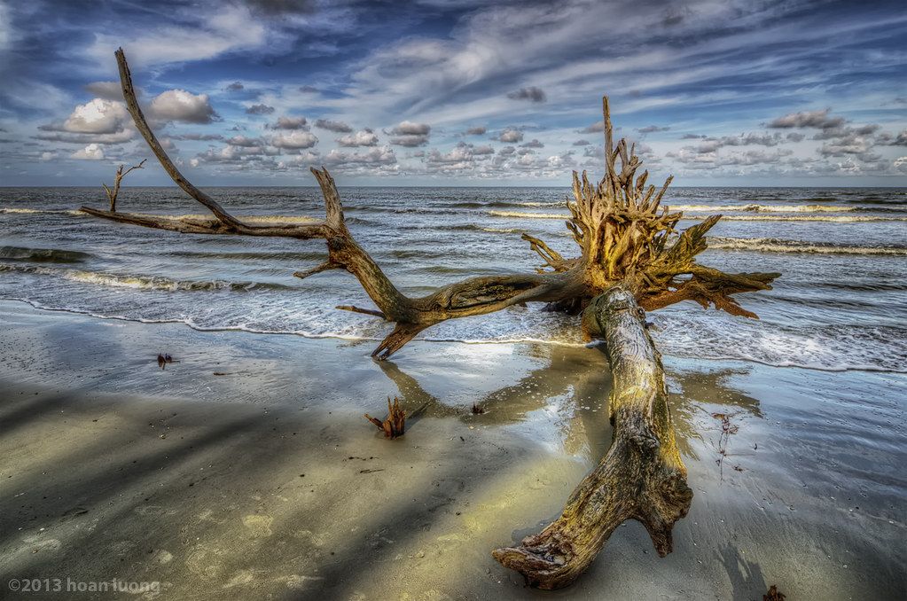 Hunting Island Beach, SC view 1