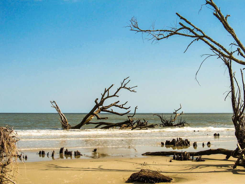 Hunting Island Beach, SC view 2