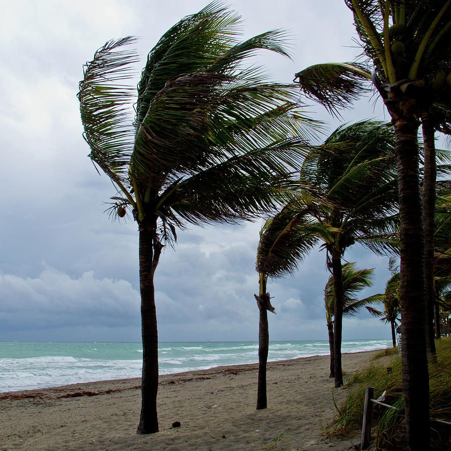 Windy Hill Beach, SC