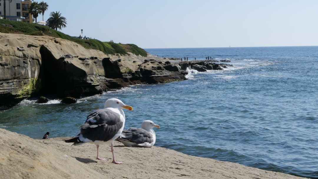 Chicken Bone Beach, NJ view 2