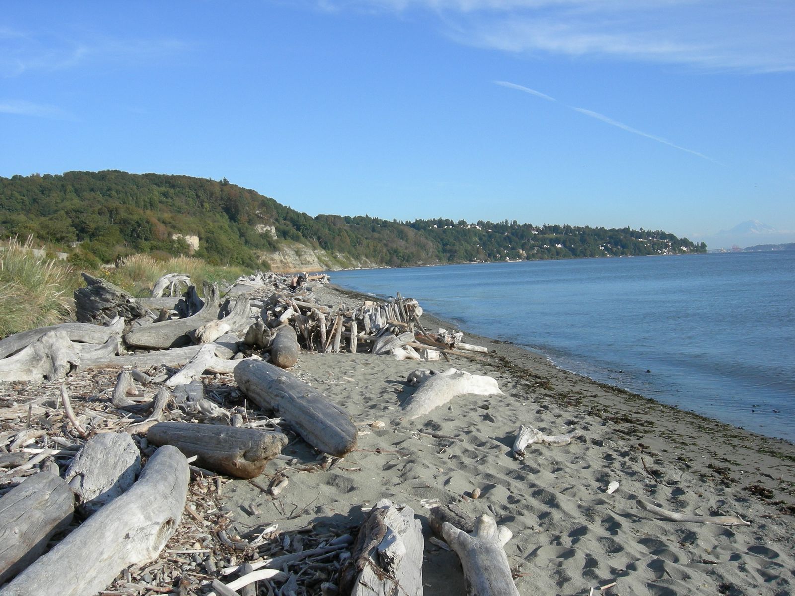 Discovery Park Beach, WA