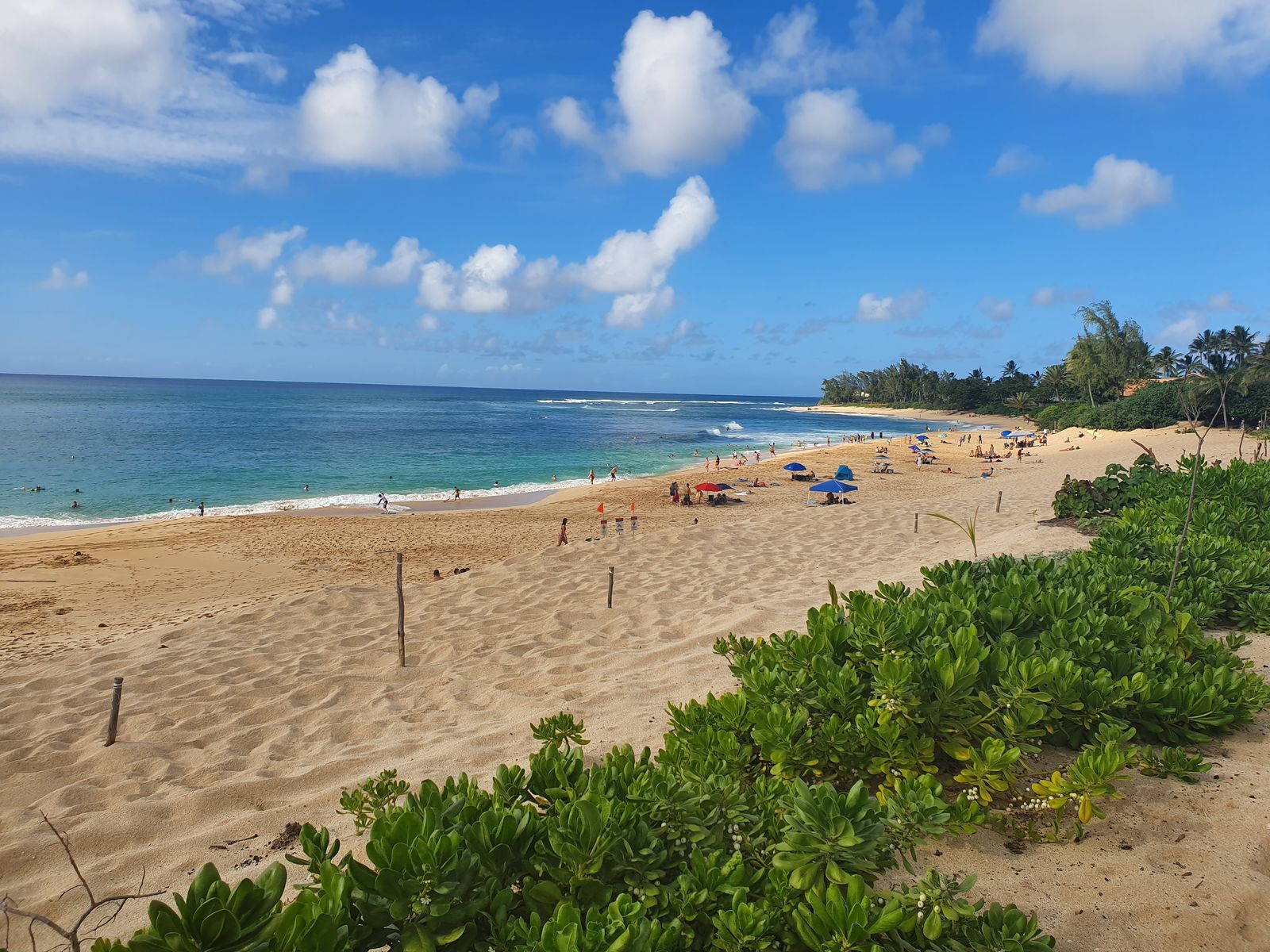 Northshore Beach, LA view 2
