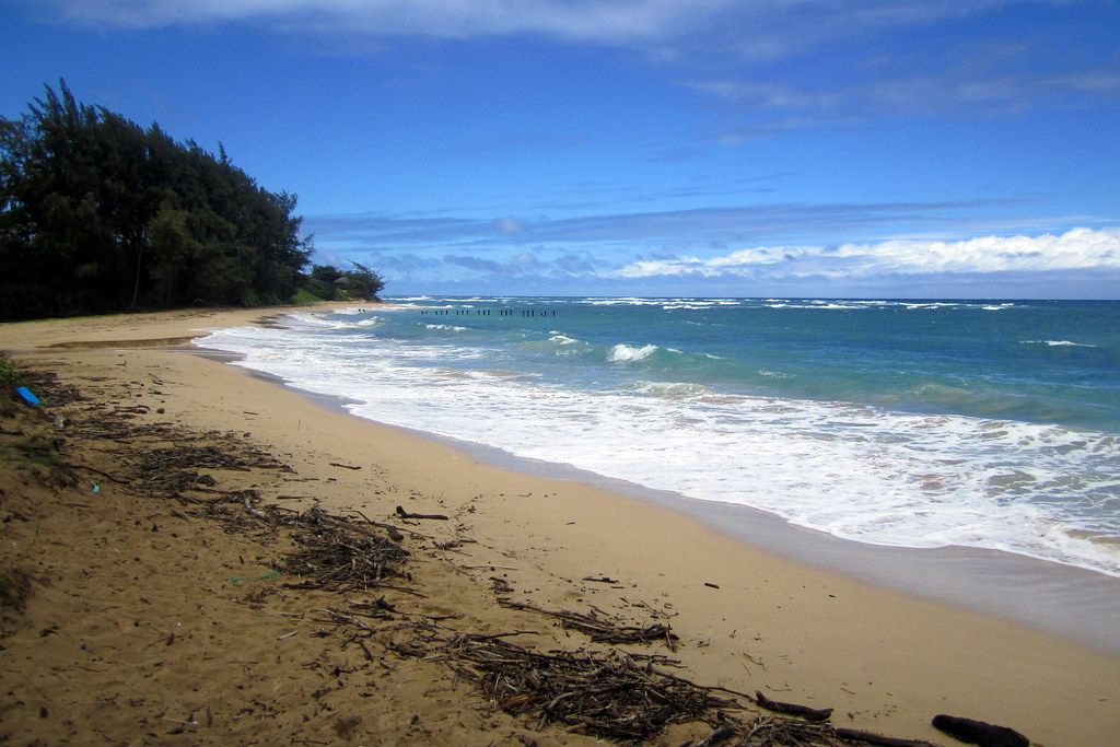 Northshore Beach, LA
